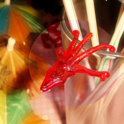 Sealife Octopus Cocktail Drink Markers/Charms