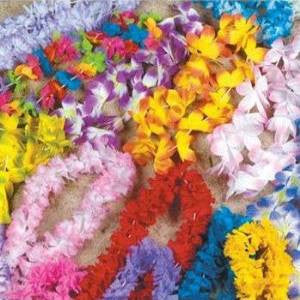 A Tropical Hawaiian Leis Variety Pack (50 pack)